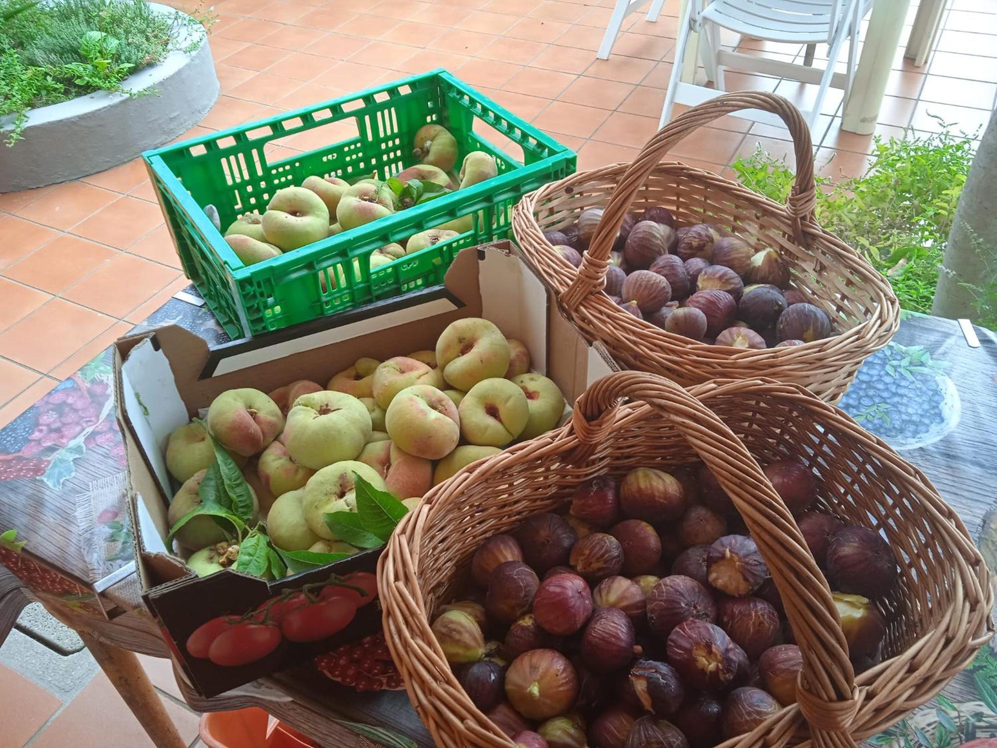 Locanda Dell'Amicizia Seccheto Eksteriør billede