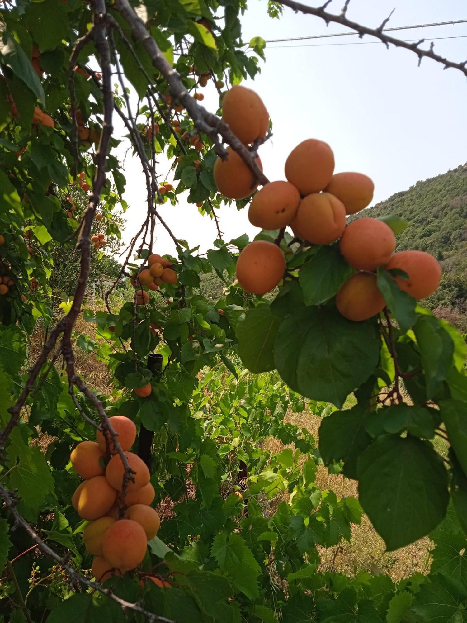 Locanda Dell'Amicizia Seccheto Eksteriør billede